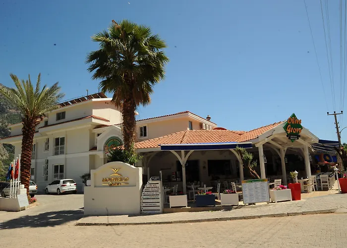 蒙特贝罗豪华酒店 3*